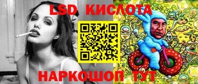 крисы Вышний Волочёк