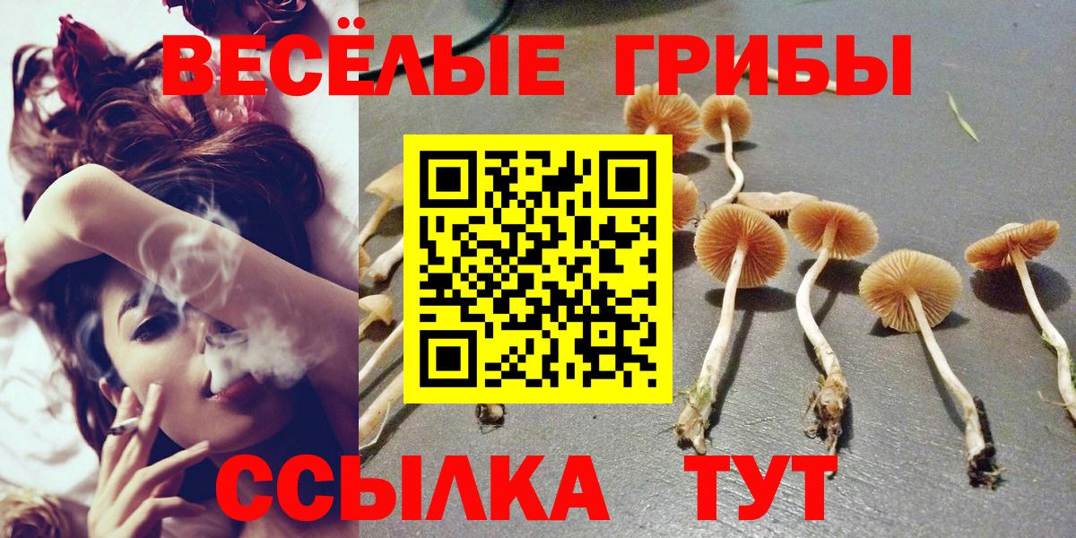 Псилоцибиновые грибы GOLDEN TEACHER  Вход с VPN  Гуково  Галлюциногенные грибы Psilocybe 